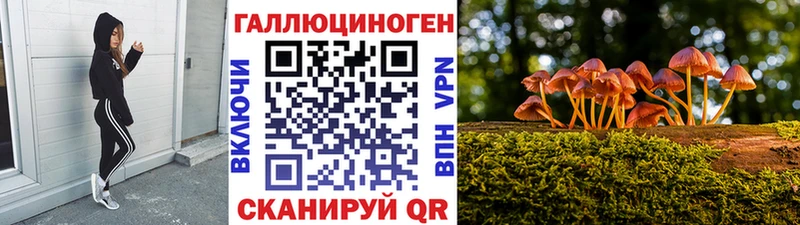 Псилоцибиновые грибы мухоморы  как найти наркотики  darknet формула  Ленск 